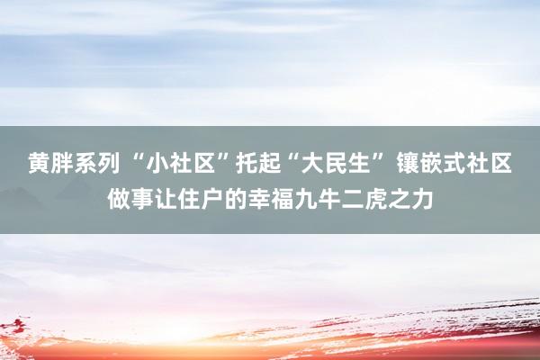 黄胖系列 “小社区”托起“大民生” 镶嵌式社区做事让住户的幸福九牛二虎之力