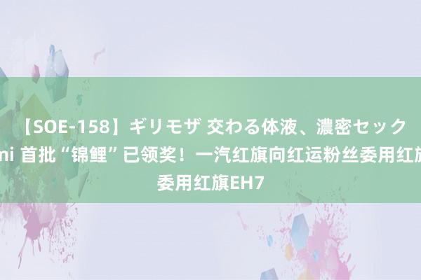 【SOE-158】ギリモザ 交わる体液、濃密セックス Ami 首批“锦鲤”已领奖！一汽红旗向红运粉丝委用红旗EH7