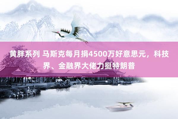 黄胖系列 马斯克每月捐4500万好意思元，科技界、金融界大佬力挺特朗普