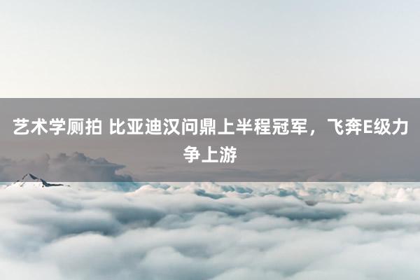 艺术学厕拍 比亚迪汉问鼎上半程冠军，飞奔E级力争上游