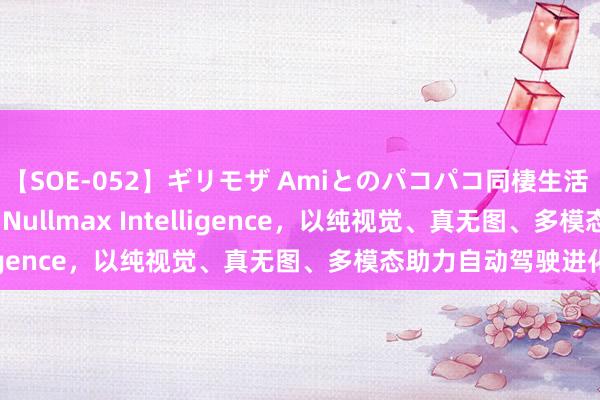 【SOE-052】ギリモザ Amiとのパコパコ同棲生活 Ami Nullmax推出Nullmax Intelligence，以纯视觉、真无图、多模态助力自动驾驶进化