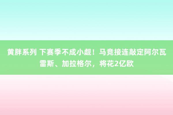 黄胖系列 下赛季不成小觑！马竞接连敲定阿尔瓦雷斯、加拉格尔，将花2亿欧