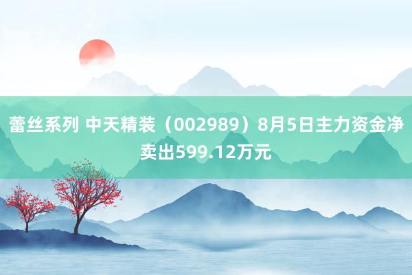 蕾丝系列 中天精装（002989）8月5日主力资金净卖出599.12万元