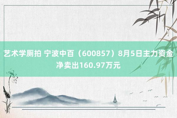 艺术学厕拍 宁波中百（600857）8月5日主力资金净卖出160.97万元