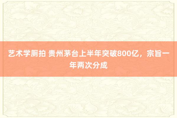 艺术学厕拍 贵州茅台上半年突破800亿，宗旨一年两次分成