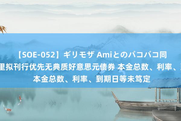 【SOE-052】ギリモザ Amiとのパコパコ同棲生活 Ami 阿里拟刊行优先无典质好意思元债券 本金总数、利率、到期日等未笃定