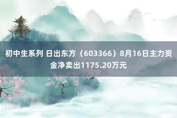 初中生系列 日出东方（603366）8月16日主力资金净卖出1175.20万元