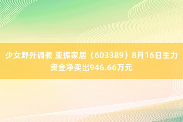 少女野外调教 亚振家居（603389）8月16日主力资金净卖出946.66万元