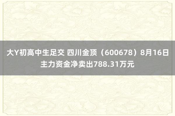 大Y初高中生足交 四川金顶（600678）8月16日主力资金净卖出788.31万元