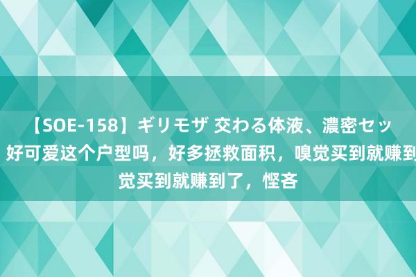 【SOE-158】ギリモザ 交わる体液、濃密セックス Ami 好可爱这个户型吗，好多拯救面积，嗅觉买到就赚到了，悭吝