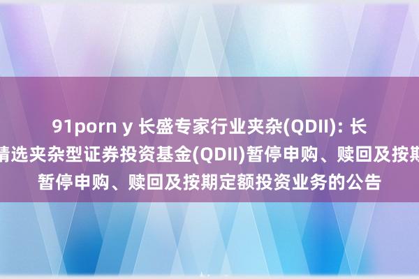 91porn y 长盛专家行业夹杂(QDII): 长盛专家景气行业大盘精选夹杂型证券投资基金(QDII)暂停申购、赎回及按期定额投资业务的公告