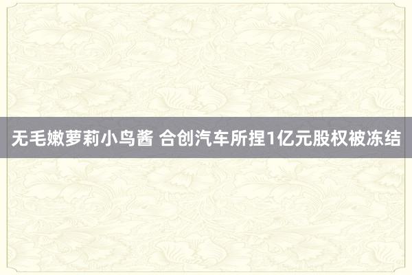 无毛嫩萝莉小鸟酱 合创汽车所捏1亿元股权被冻结