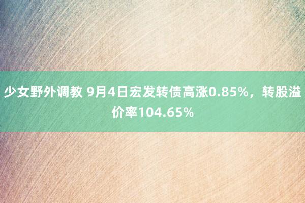 少女野外调教 9月4日宏发转债高涨0.85%，转股溢价率104.65%