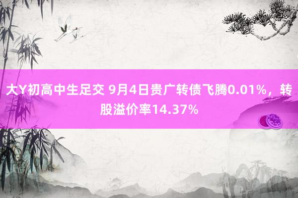 大Y初高中生足交 9月4日贵广转债飞腾0.01%，转股溢价率14.37%