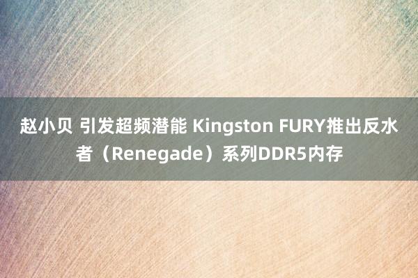 赵小贝 引发超频潜能 Kingston FURY推出反水者（Renegade）系列DDR5内存