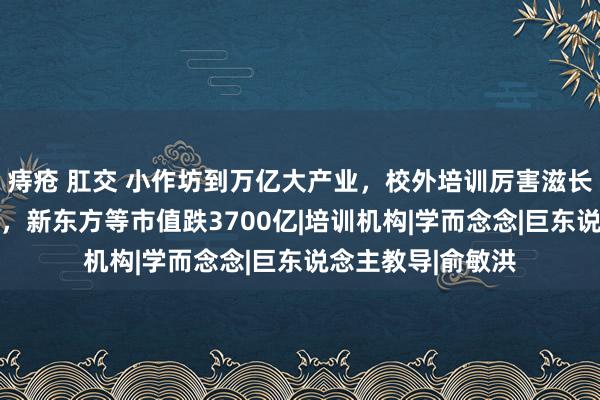 痔疮 肛交 小作坊到万亿大产业，校外培训厉害滋长44年！监管升级，新东方等市值跌3700亿|培训机构|学而念念|巨东说念主教导|俞敏洪